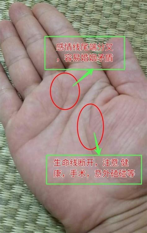 感情線雜紋|感情線可以看什麼？感情線不只透露感情、性格，還能。